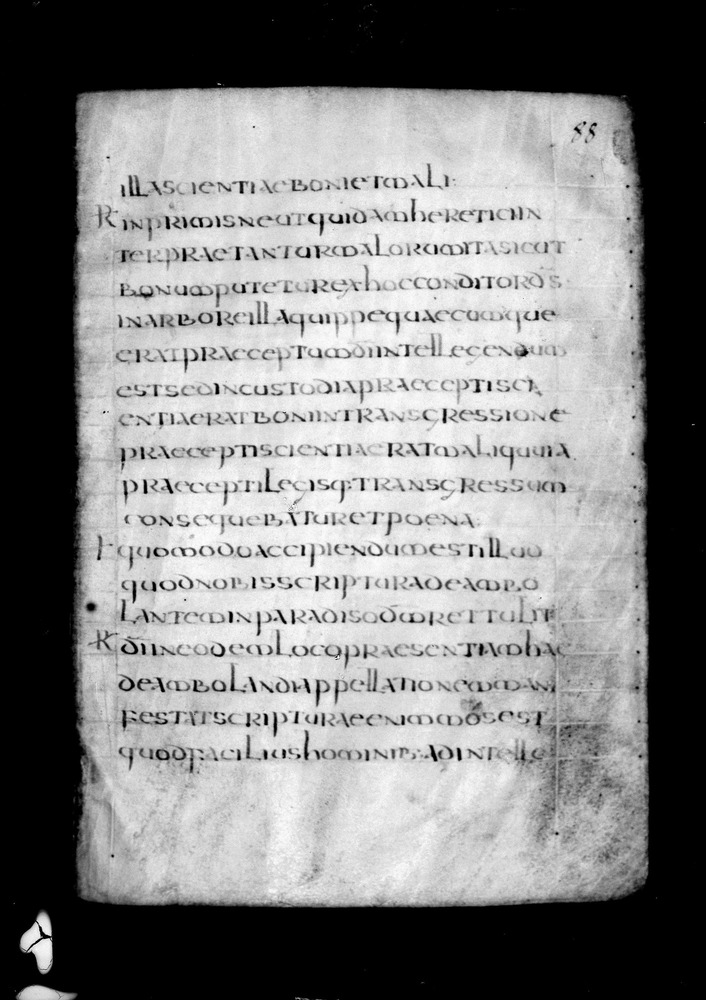 Roma, Biblioteca Nazionale Centrale, Sess. 77
doc_00001_088r
Keywords: BNCR Sess. 77, 8. sec., BNCR