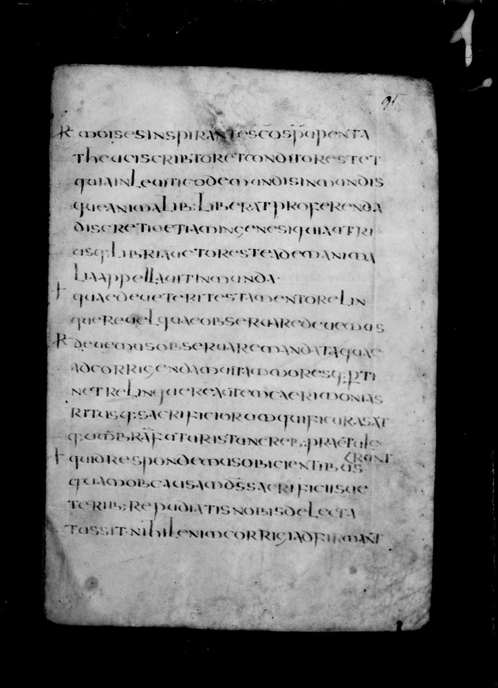 Roma, Biblioteca Nazionale Centrale, Sess. 77
doc_00001_091r
Keywords: BNCR Sess. 77, Palinsesti, 8. sec., BNCR