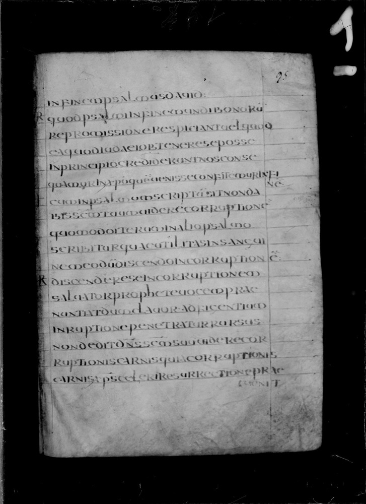 Roma, Biblioteca Nazionale Centrale, Sess. 77
doc_00001_095r
Keywords: BNCR Sess. 77, Palinsesti, 8. sec., BNCR