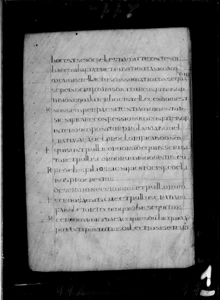 Roma, Biblioteca Nazionale Centrale, Sess. 77
doc_00001_099v
Keywords: BNCR Sess. 77, 8. sec., BNCR