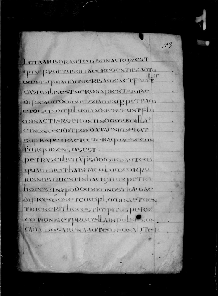 Roma, Biblioteca Nazionale Centrale, Sess. 77
doc_00001_103r
Keywords: BNCR Sess. 77, 8. sec., BNCR