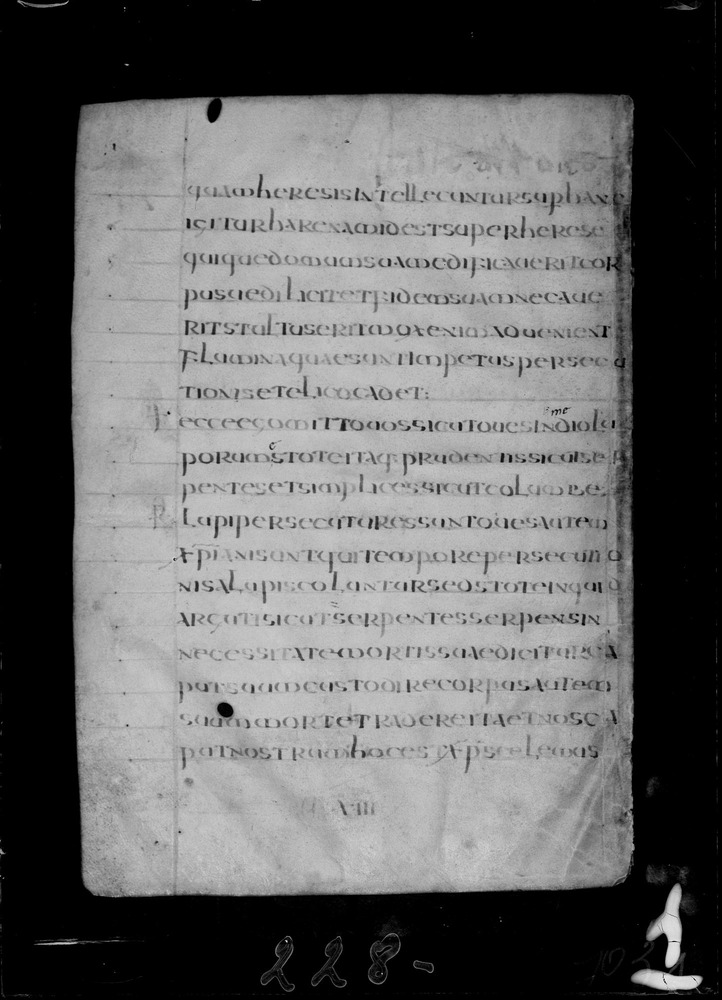 Roma, Biblioteca Nazionale Centrale, Sess. 77
doc_00001_103v
Keywords: BNCR Sess. 77, 8. sec., BNCR