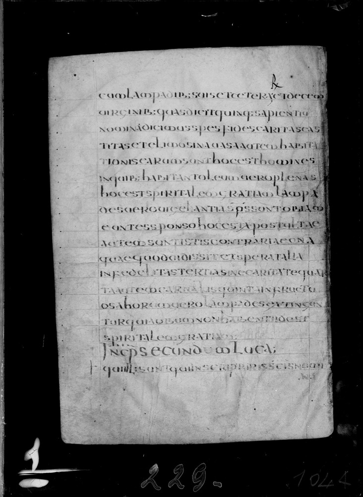 Roma, Biblioteca Nazionale Centrale, Sess. 77
doc_00001_104v
Keywords: BNCR Sess. 77, 8. sec., BNCR