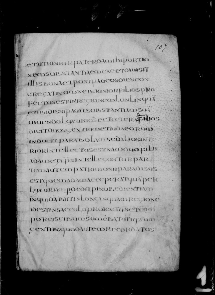 Roma, Biblioteca Nazionale Centrale, Sess. 77
doc_00001_107r
Keywords: BNCR Sess. 77, 8. sec., BNCR