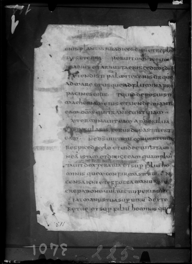 Roma, Biblioteca Nazionale Centrale, Sess. 77
doc_00001_113r
Keywords: BNCR Sess. 77, 8. sec., BNCR