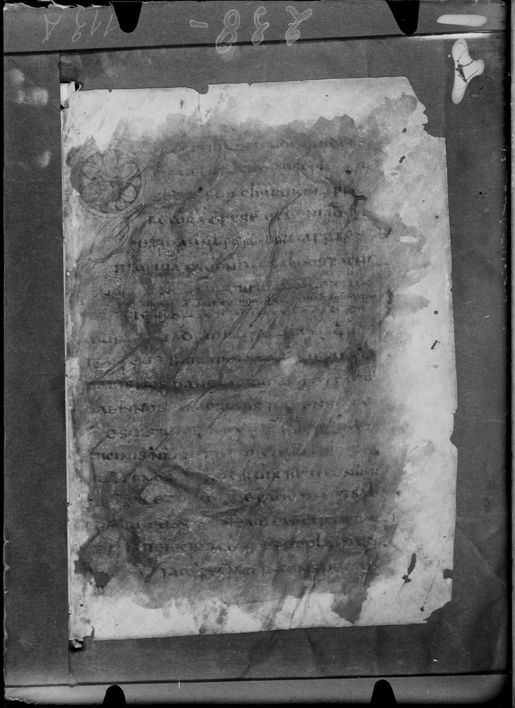 Roma, Biblioteca Nazionale Centrale, Sess. 77
doc_00001_113v
Keywords: BNCR Sess. 77, 8. sec., BNCR