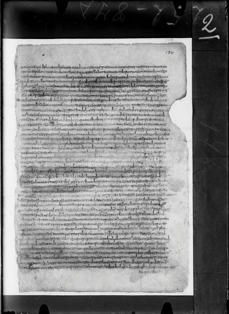 Roma, Biblioteca Nazionale Centrale, Sess. 55
doc_00002_174r
Keywords: BNCR Sess. 55, Palinsesti, 5. sec., 6. sec., BNCR