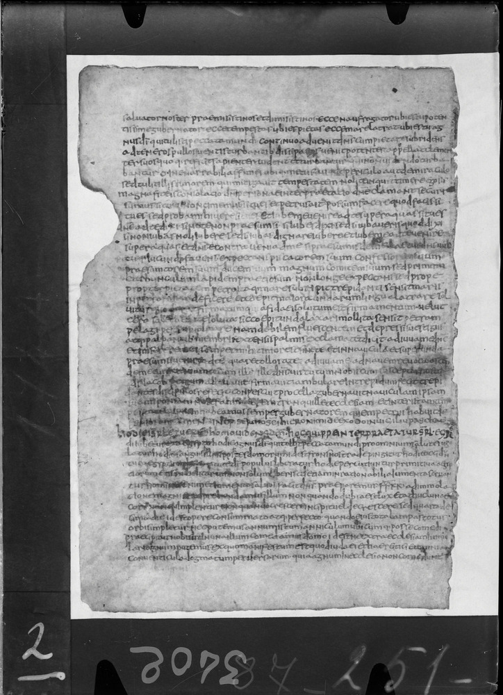 Roma, Biblioteca Nazionale Centrale, Sess. 55
doc_00002_174v
Keywords: BNCR Sess. 55, Palinsesti, 5. sec., 6. sec., BNCR