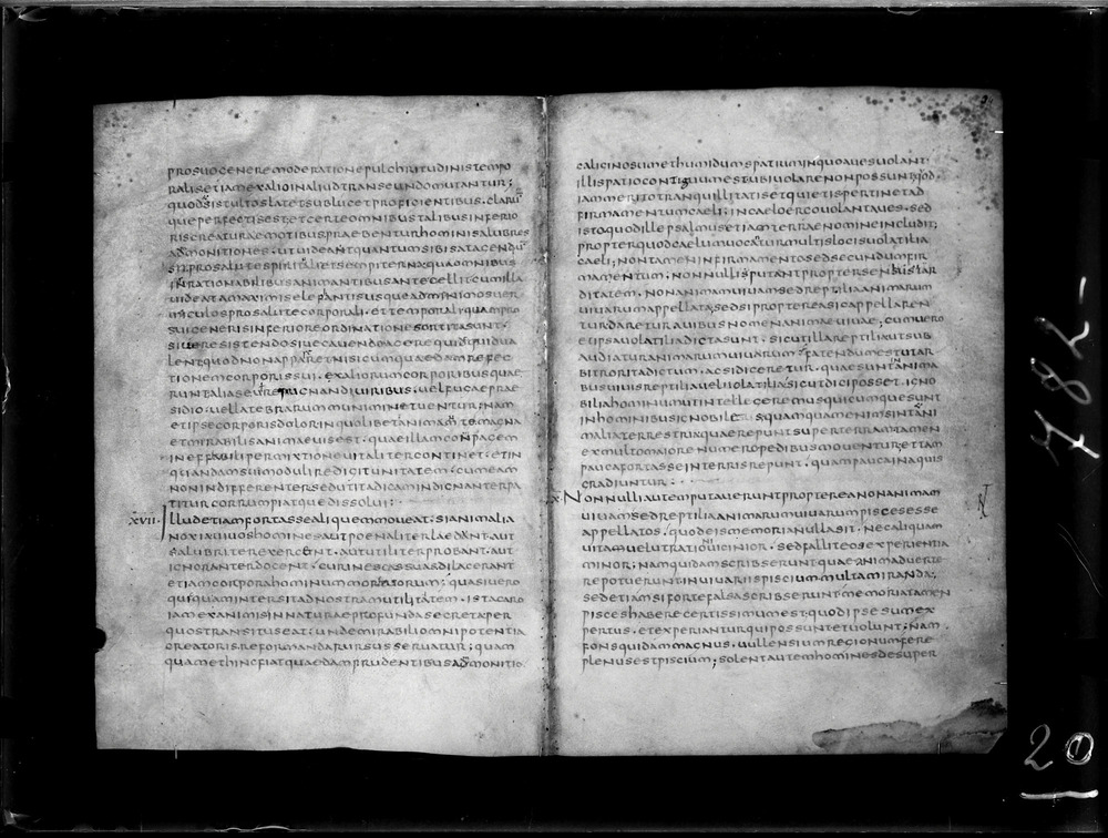 Roma, Biblioteca Nazionale Centrale, Sess. 13
doc_00020_034r_039v
Keywords: BNCR Sess. 13, 6. sec., BNCR