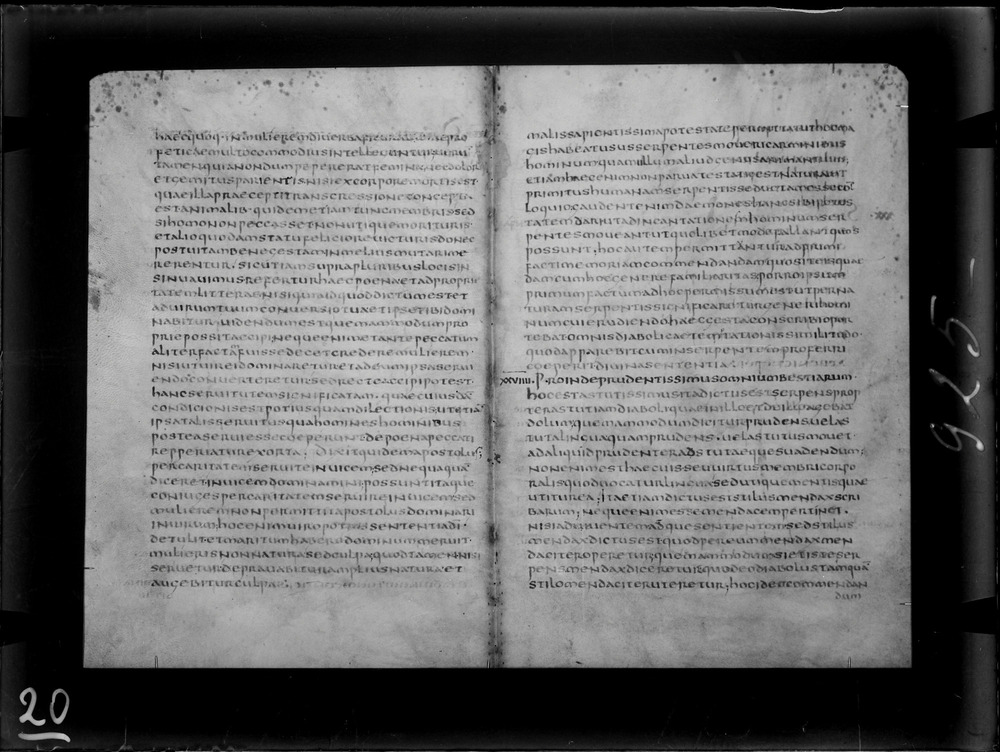 Roma, Biblioteca Nazionale Centrale, Sess. 13
doc_00020_173r_178v
Keywords: BNCR Sess. 13, 6. sec., BNCR