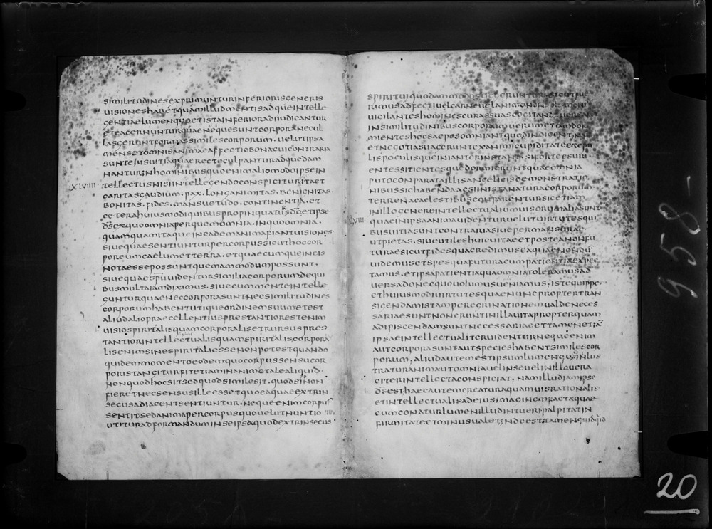 Roma, Biblioteca Nazionale Centrale, Sess. 13
doc_00020_205v_210r
Keywords: BNCR Sess. 13, 6. sec., BNCR