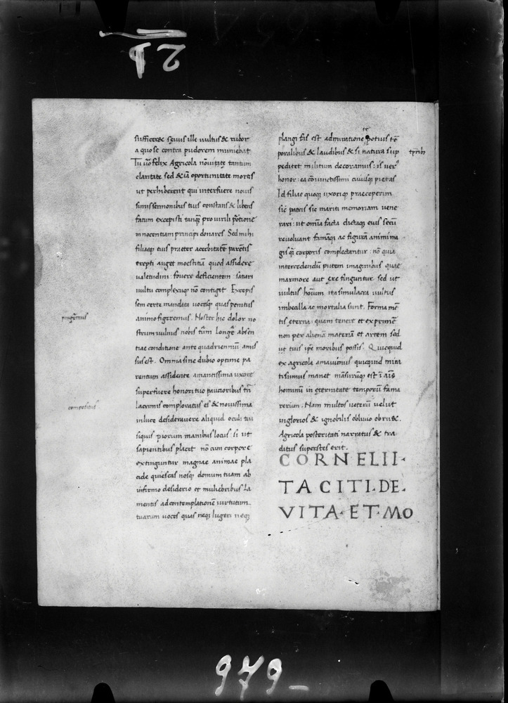 Roma, Biblioteca Nazionale Centrale, Ms. Vitt. Em. 1631 [Codex Aesinas Lat. 8]
doc_00021_65a
Keywords: BNCR Ms. Vitt. Em. 1631, Rest.67/1938, 9. sec., BNCR