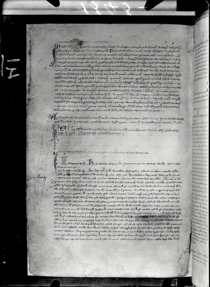 Tarquinia, Archivio Storico Comunale, XIV-A.1
doc_00041_008v
Keywords: ASC Tarquinia XIV-A.1 [Margarita Cornetana], Rest.17/1939, ASC Tarquinia