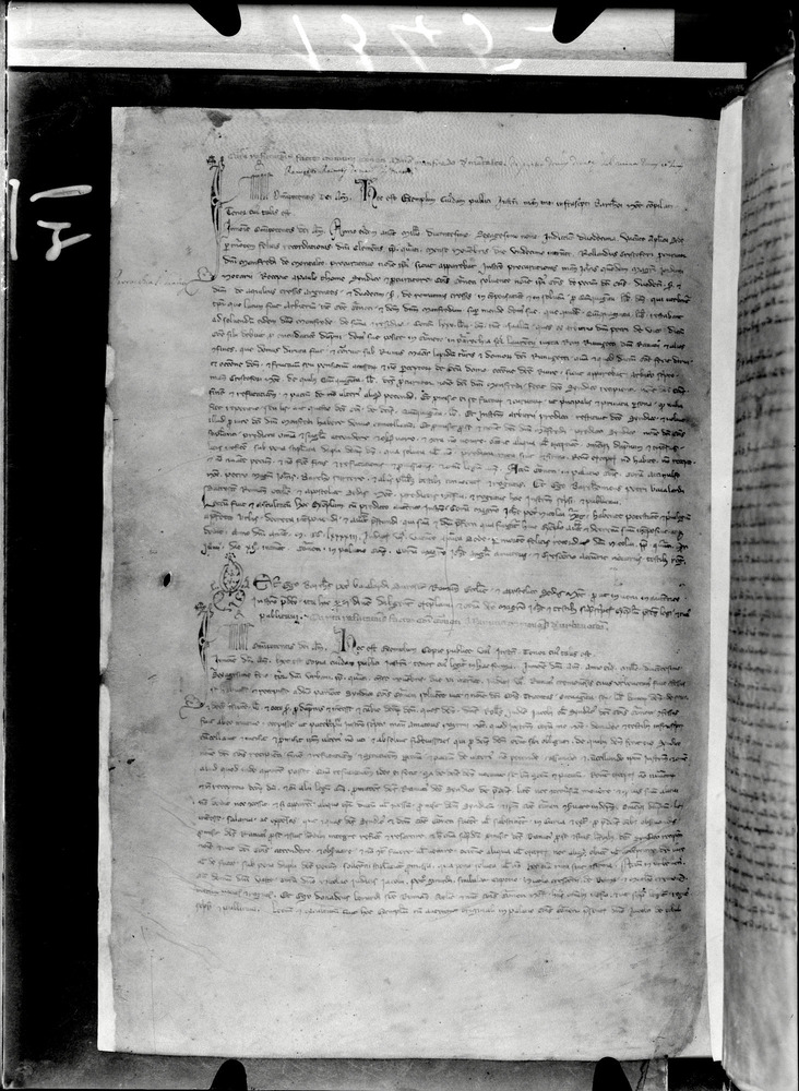Tarquinia, Archivio Storico Comunale, XIV-A.1
doc_00041_009v
Keywords: ASC Tarquinia XIV-A.1 [Margarita Cornetana], Rest.17/1939, ASC Tarquinia