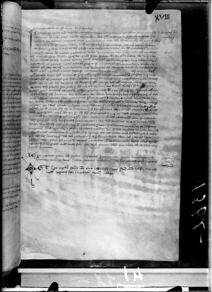 Tarquinia, Archivio Storico Comunale, XIV-A.1
doc_00041_018r
Keywords: ASC Tarquinia XIV-A.1 [Margarita Cornetana], Rest.17/1939, ASC Tarquinia