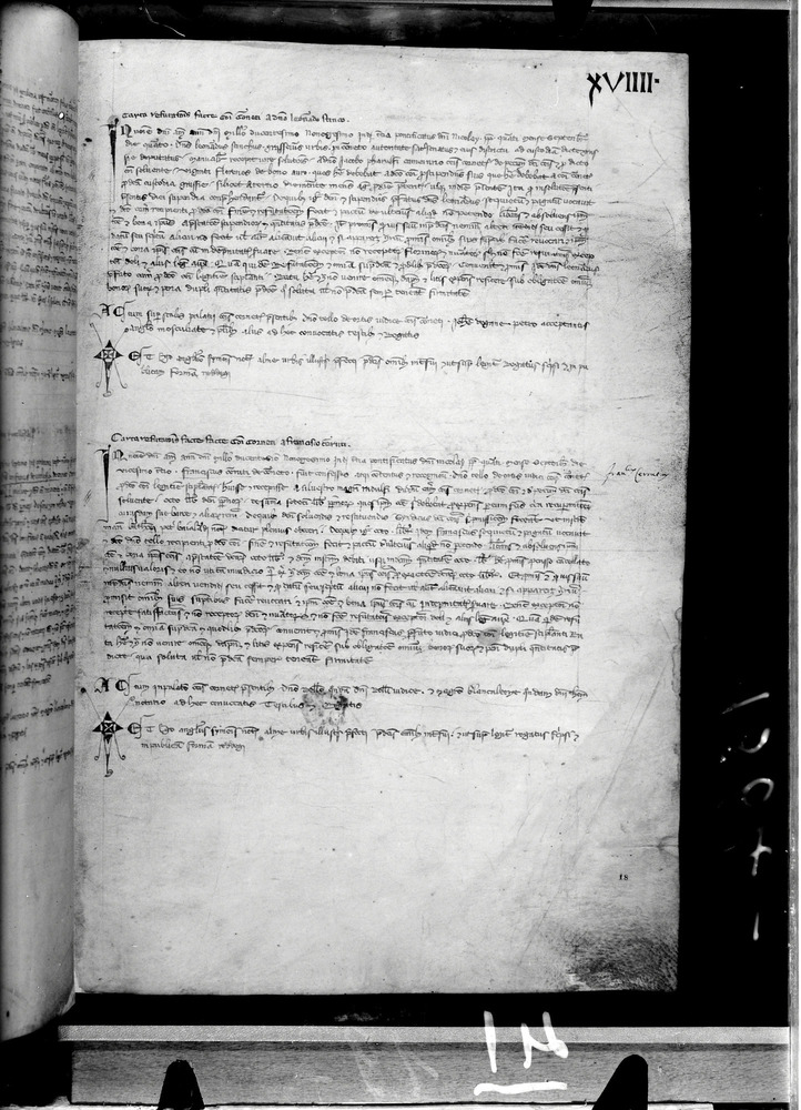 Tarquinia, Archivio Storico Comunale, XIV-A.1
doc_00041_019r
Keywords: ASC Tarquinia XIV-A.1 [Margarita Cornetana], Rest.17/1939, ASC Tarquinia