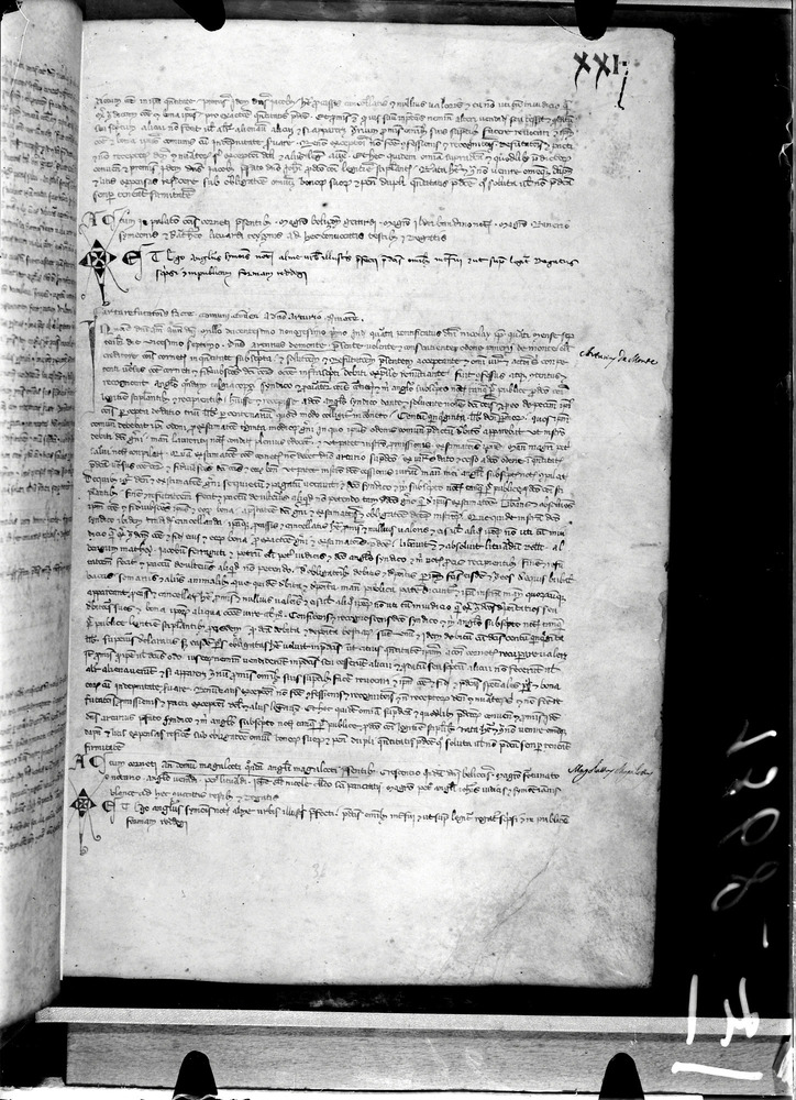 Tarquinia, Archivio Storico Comunale, XIV-A.1
doc_00041_021r
Keywords: ASC Tarquinia XIV-A.1 [Margarita Cornetana], Rest.17/1939, ASC Tarquinia