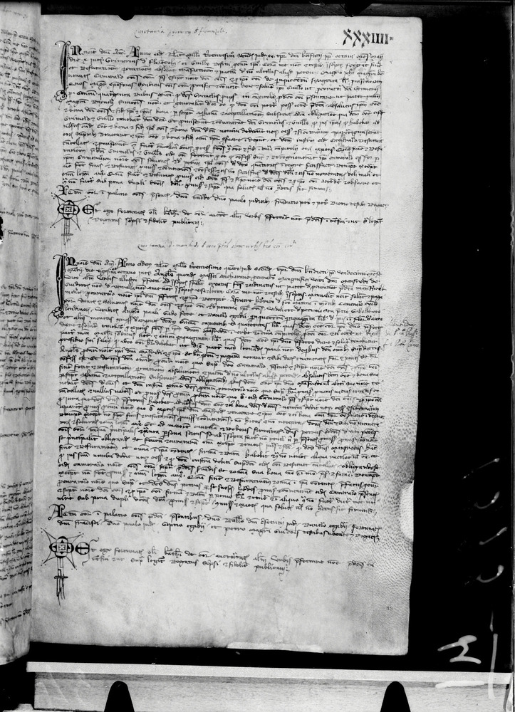 Tarquinia, Archivio Storico Comunale, XIV-A.1
doc_00041_034r
Keywords: ASC Tarquinia XIV-A.1 [Margarita Cornetana], Rest.17/1939, ASC Tarquinia