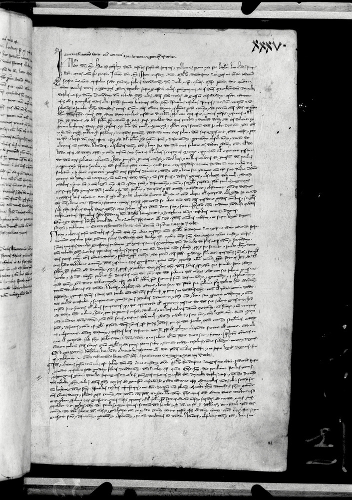 Tarquinia, Archivio Storico Comunale, XIV-A.1
doc_00041_035r
Keywords: ASC Tarquinia XIV-A.1 [Margarita Cornetana], Rest.17/1939, ASC Tarquinia