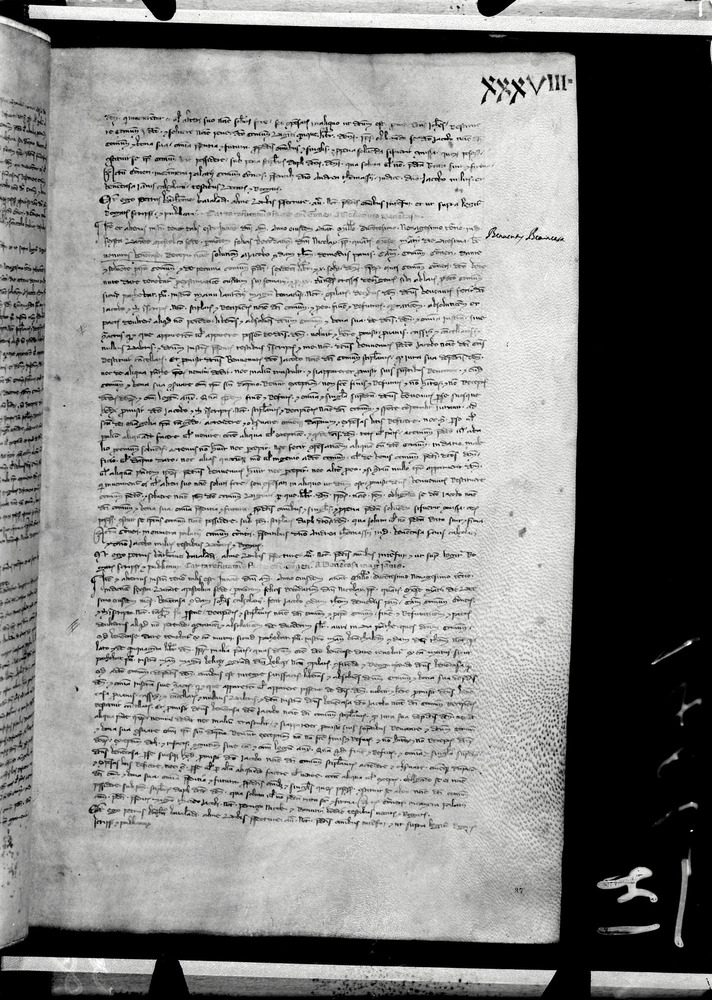 Tarquinia, Archivio Storico Comunale, XIV-A.1
doc_00041_038r
Keywords: ASC Tarquinia XIV-A.1 [Margarita Cornetana], Rest.17/1939, ASC Tarquinia