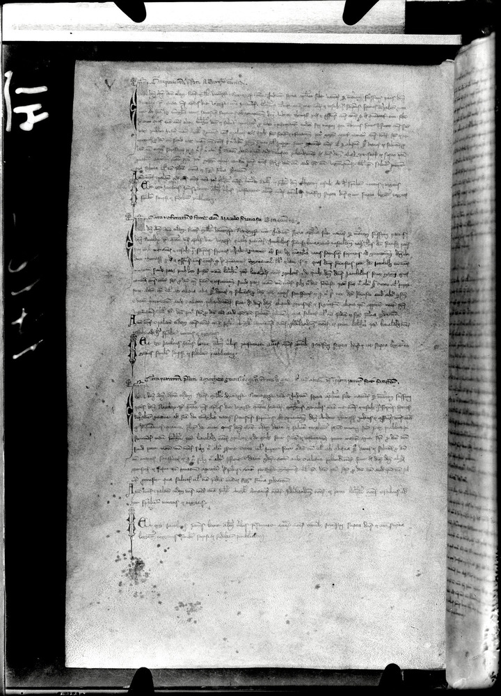 Tarquinia, Archivio Storico Comunale, XIV-A.1
doc_00041_045v
Keywords: ASC Tarquinia XIV-A.1 [Margarita Cornetana], Rest.17/1939, ASC Tarquinia