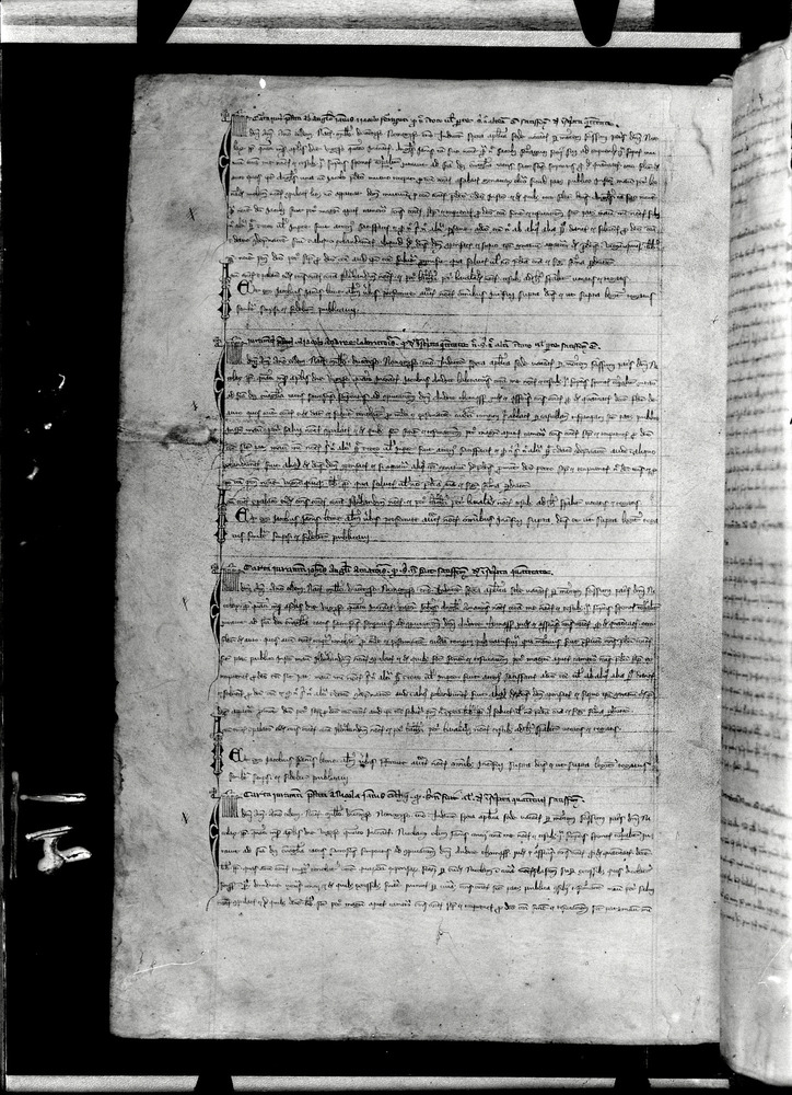 Tarquinia, Archivio Storico Comunale, XIV-A.1
doc_00041_046v
Keywords: ASC Tarquinia XIV-A.1 [Margarita Cornetana], Rest.17/1939, ASC Tarquinia