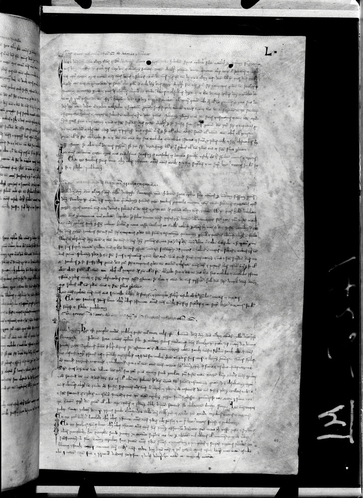 Tarquinia, Archivio Storico Comunale, XIV-A.1
doc_00041_050r
Keywords: ASC Tarquinia XIV-A.1 [Margarita Cornetana], Rest.17/1939, ASC Tarquinia