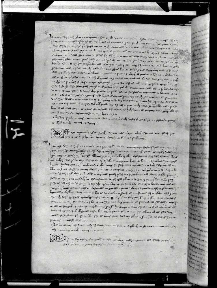Tarquinia, Archivio Storico Comunale, XIV-A.1
doc_00041_073v
Keywords: ASC Tarquinia XIV-A.1 [Margarita Cornetana], Rest.17/1939, ASC Tarquinia