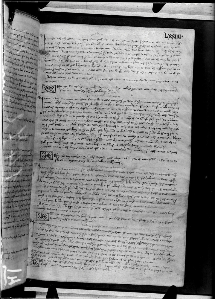 Tarquinia, Archivio Storico Comunale, XIV-A.1
doc_00041_074r
Keywords: ASC Tarquinia XIV-A.1 [Margarita Cornetana], Rest.17/1939, ASC Tarquinia