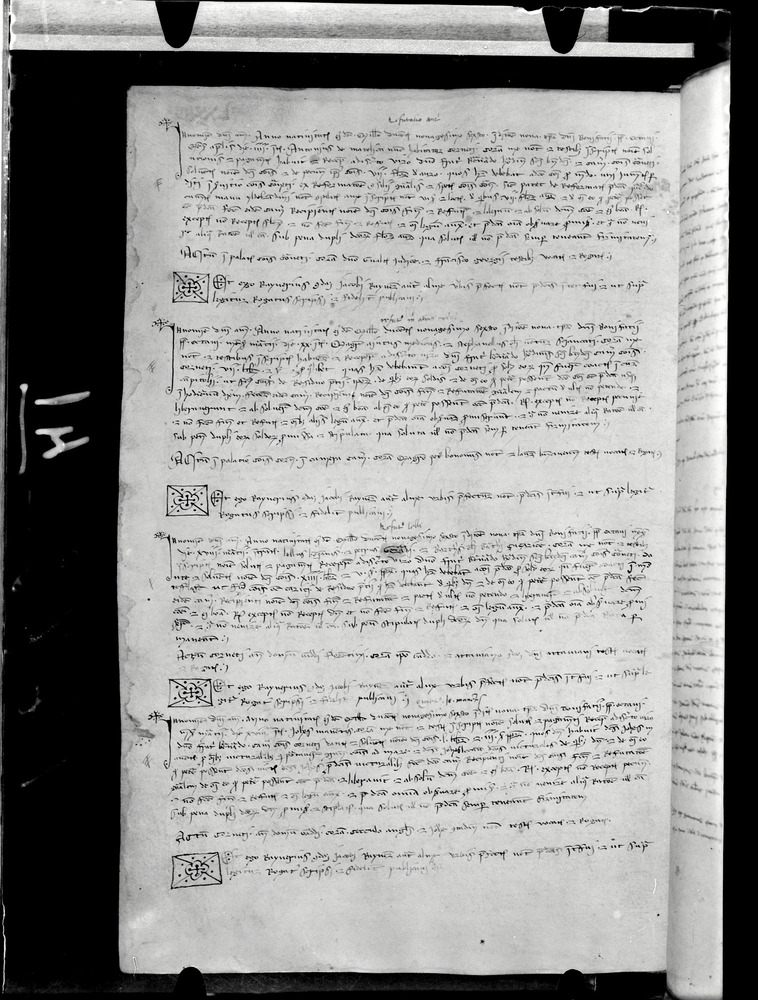 Tarquinia, Archivio Storico Comunale, XIV-A.1
doc_00041_074v
Keywords: ASC Tarquinia XIV-A.1 [Margarita Cornetana], Rest.17/1939, ASC Tarquinia