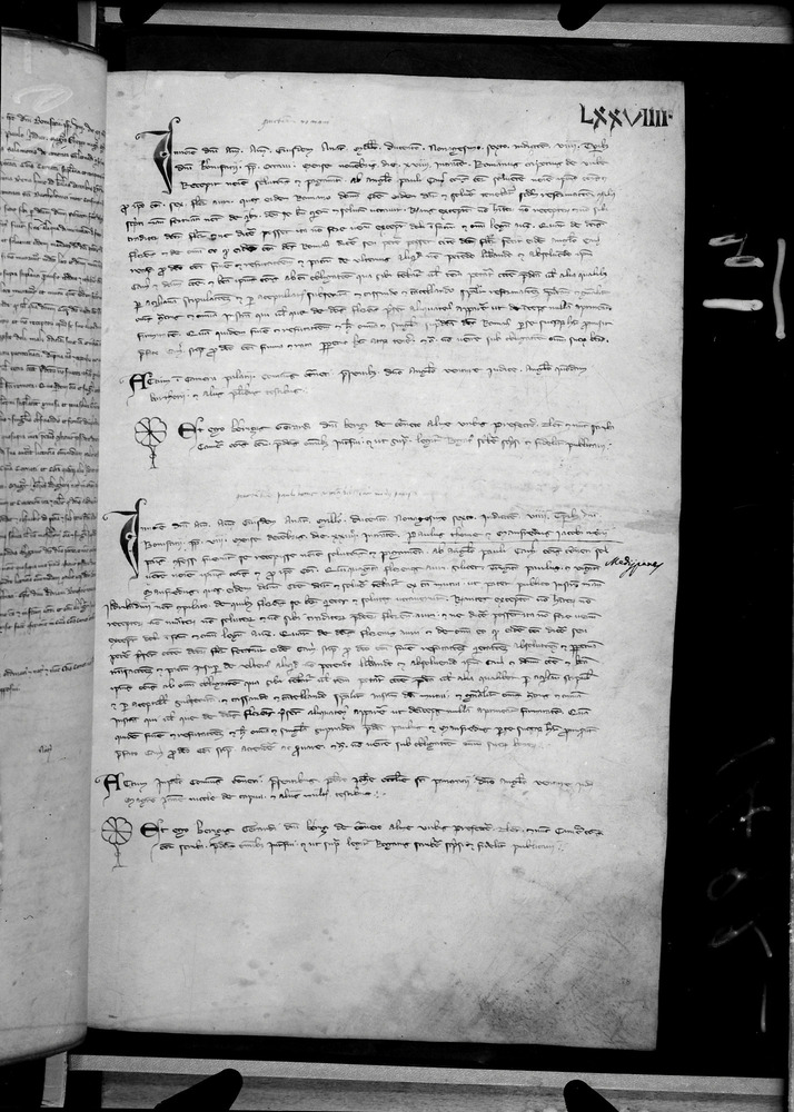 Tarquinia, Archivio Storico Comunale, XIV-A.1
doc_00041_079r
Keywords: ASC Tarquinia XIV-A.1 [Margarita Cornetana], Rest.17/1939, ASC Tarquinia