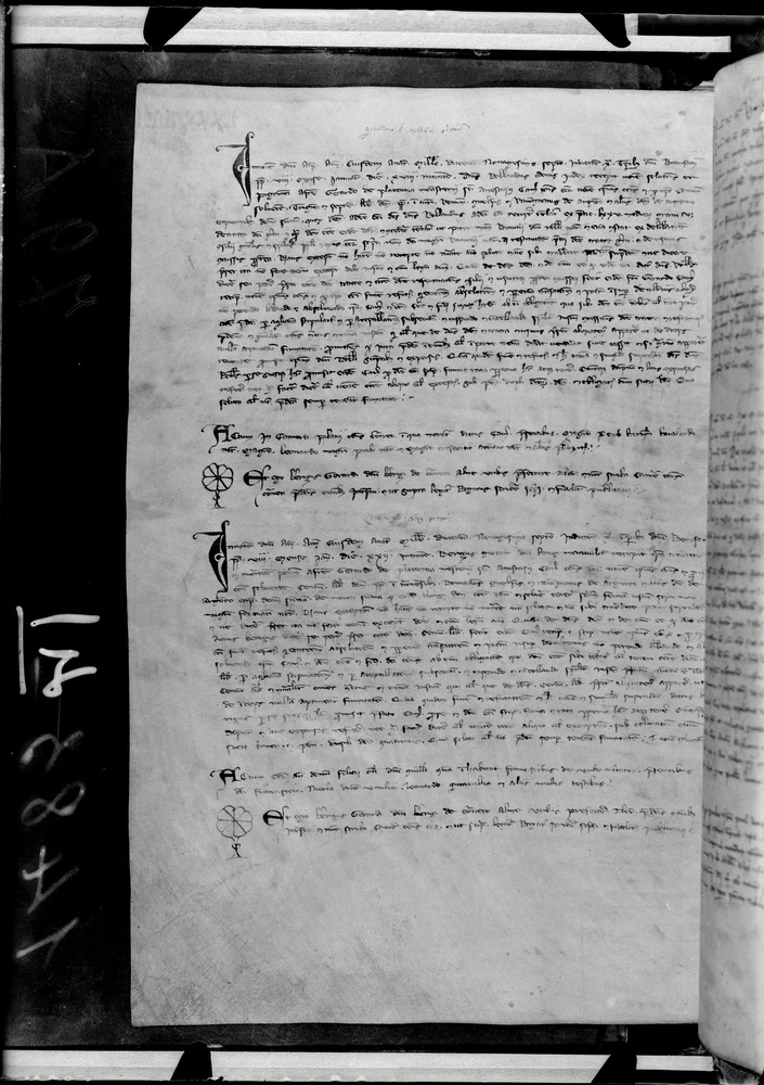 Tarquinia, Archivio Storico Comunale, XIV-A.1
doc_00041_079v
Keywords: ASC Tarquinia XIV-A.1 [Margarita Cornetana], Rest.17/1939, ASC Tarquinia