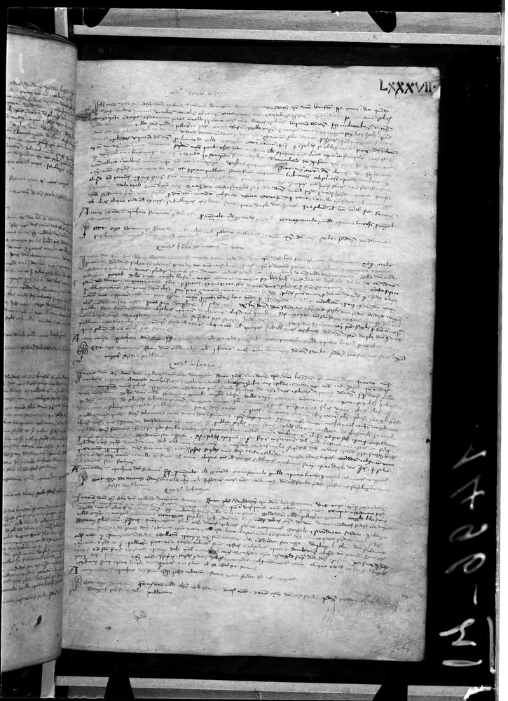 Tarquinia, Archivio Storico Comunale, XIV-A.1
doc_00041_087r
Keywords: ASC Tarquinia XIV-A.1 [Margarita Cornetana], Rest.17/1939, ASC Tarquinia