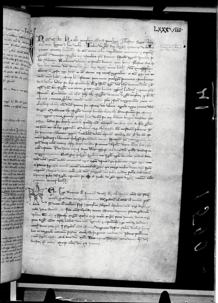 Tarquinia, Archivio Storico Comunale, XIV-A.1
doc_00041_089r
Keywords: ASC Tarquinia XIV-A.1 [Margarita Cornetana], Rest.17/1939, ASC Tarquinia
