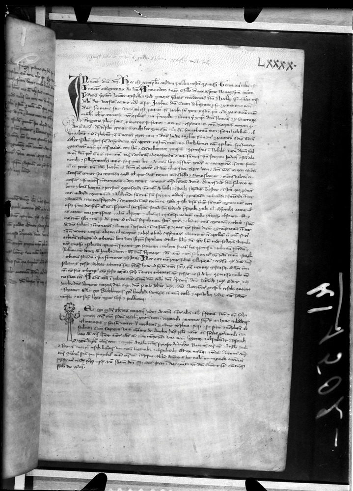 Tarquinia, Archivio Storico Comunale, XIV-A.1
doc_00041_090r
Keywords: ASC Tarquinia XIV-A.1 [Margarita Cornetana], Rest.17/1939, ASC Tarquinia