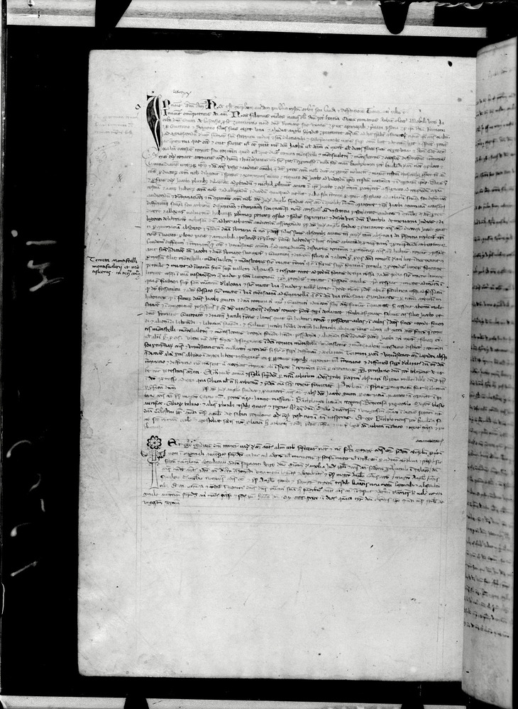 Tarquinia, Archivio Storico Comunale, XIV-A.1
doc_00041_090v
Keywords: ASC Tarquinia XIV-A.1 [Margarita Cornetana], Rest.17/1939, ASC Tarquinia