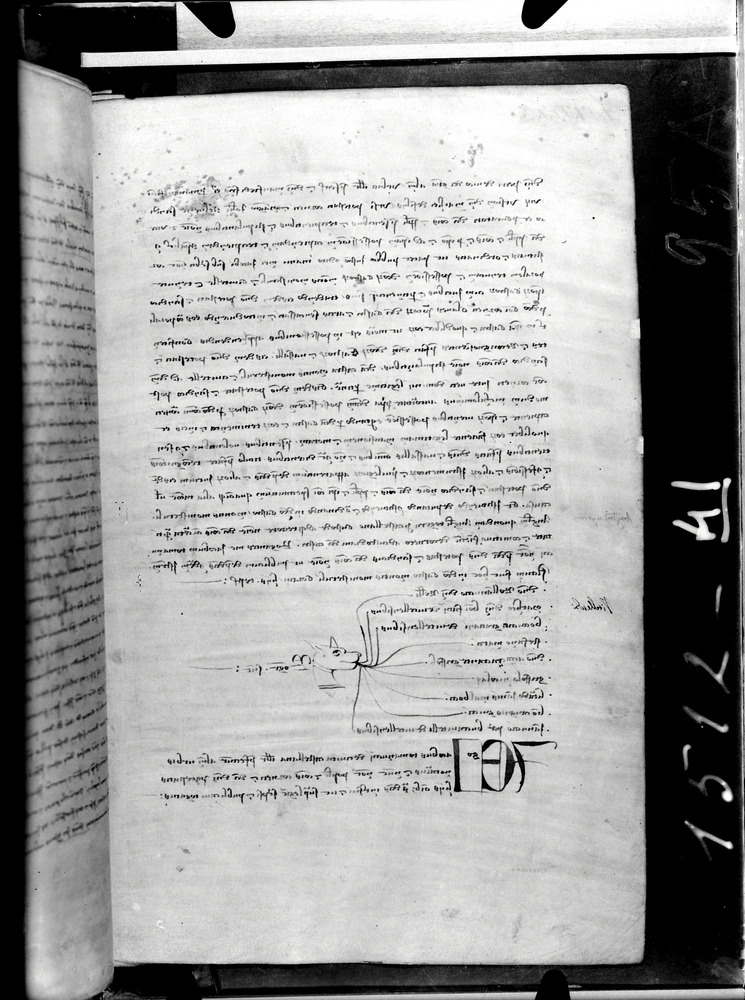 Tarquinia, Archivio Storico Comunale, XIV-A.1
doc_00041_095v
Keywords: ASC Tarquinia XIV-A.1 [Margarita Cornetana], Rest.17/1939, ASC Tarquinia