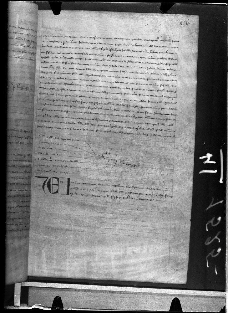 Tarquinia, Archivio Storico Comunale, XIV-A.1
doc_00041_102r
Keywords: ASC Tarquinia XIV-A.1 [Margarita Cornetana], Rest.17/1939, ASC Tarquinia