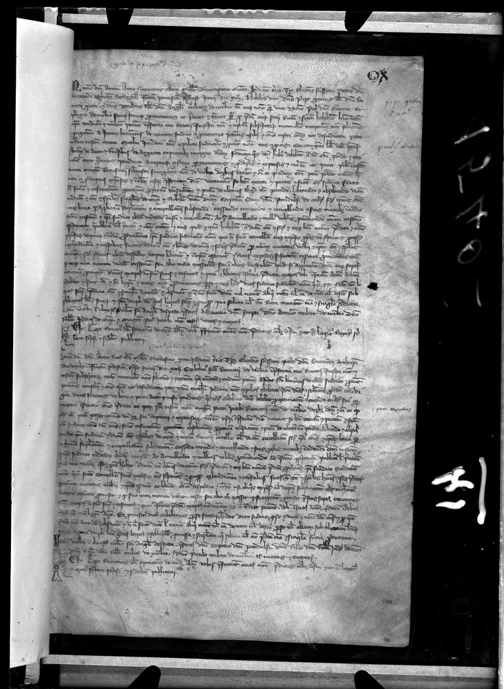Tarquinia, Archivio Storico Comunale, XIV-A.1
doc_00041_110r
Keywords: ASC Tarquinia XIV-A.1 [Margarita Cornetana], Rest.17/1939, ASC Tarquinia