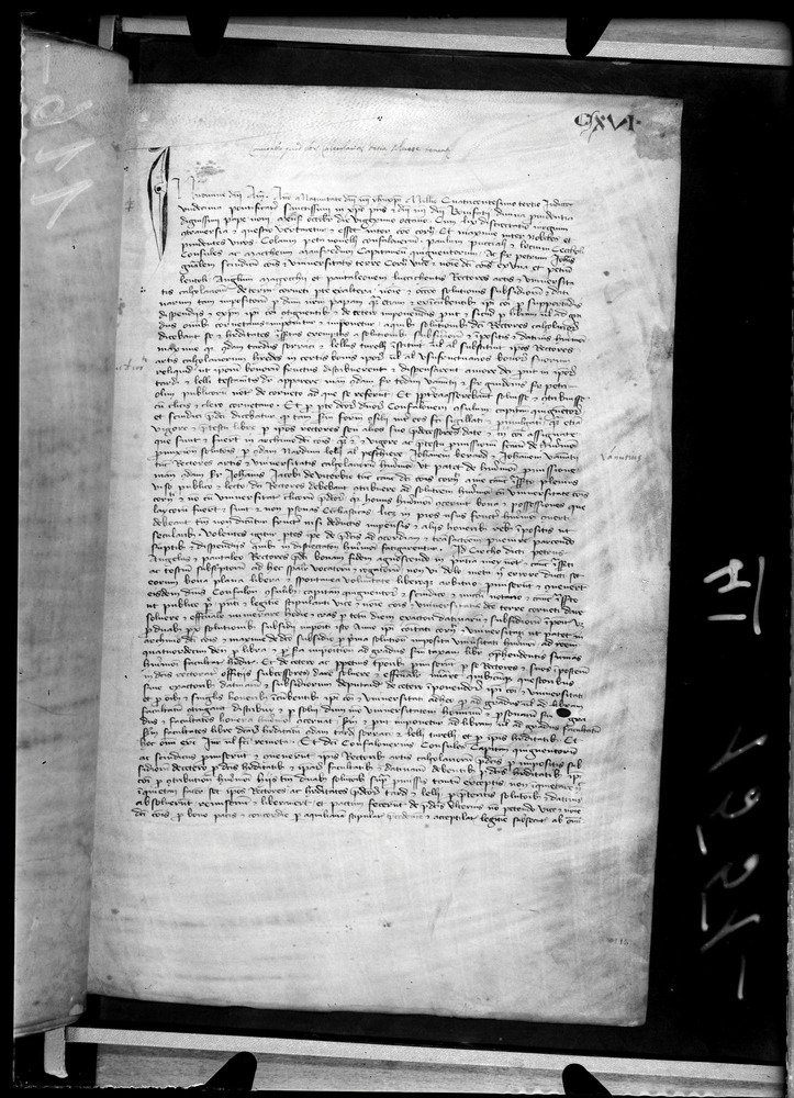 Tarquinia, Archivio Storico Comunale, XIV-A.1
doc_00041_116r
Keywords: ASC Tarquinia XIV-A.1 [Margarita Cornetana], Rest.17/1939, ASC Tarquinia