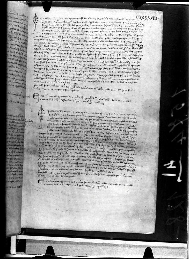 Tarquinia, Archivio Storico Comunale, XIV-A.1
doc_00041_128r
Keywords: ASC Tarquinia XIV-A.1 [Margarita Cornetana], Rest.17/1939, ASC Tarquinia