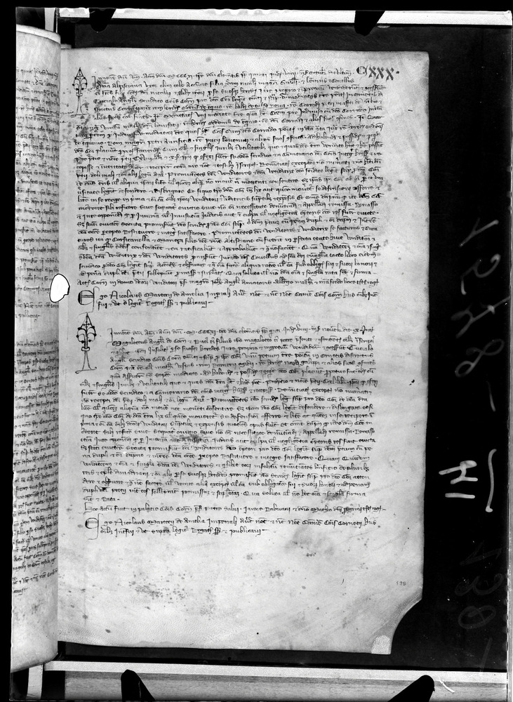 Tarquinia, Archivio Storico Comunale, XIV-A.1
doc_00041_130r
Keywords: ASC Tarquinia XIV-A.1 [Margarita Cornetana], Rest.17/1939, ASC Tarquinia
