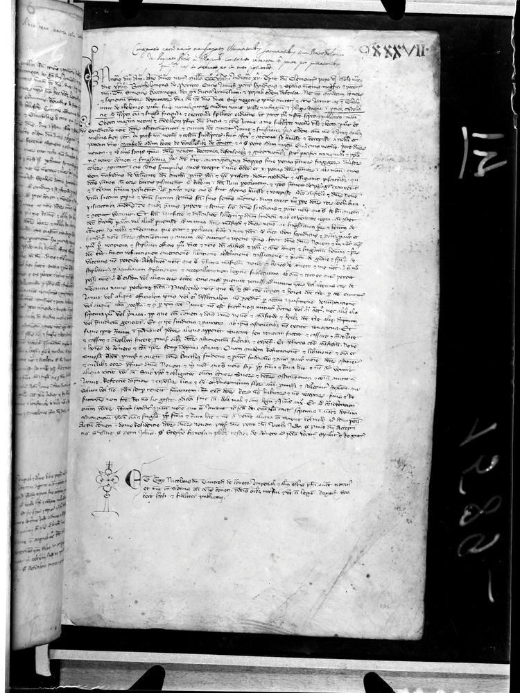 Tarquinia, Archivio Storico Comunale, XIV-A.1
doc_00041_136r
Keywords: ASC Tarquinia XIV-A.1 [Margarita Cornetana], Rest.17/1939, ASC Tarquinia