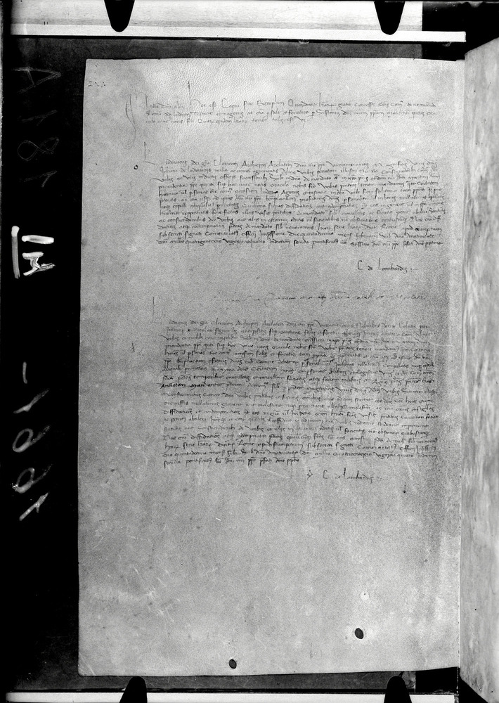 Tarquinia, Archivio Storico Comunale, XIV-A.1
doc_00041_181v
Keywords: ASC Tarquinia XIV-A.1 [Margarita Cornetana], Rest.17/1939, ASC Tarquinia