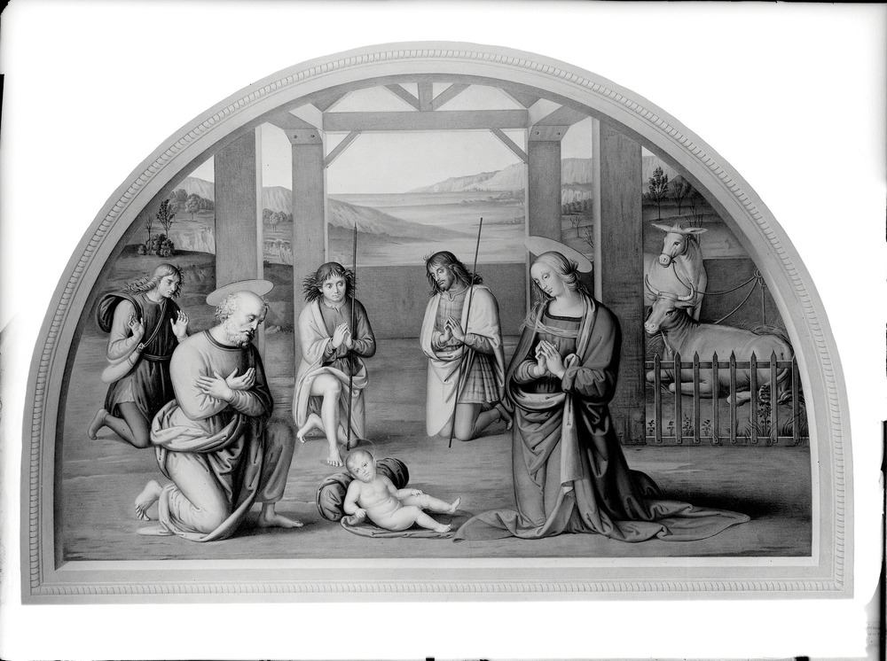 Riproduzione della Natività del Perugino
doc_00737
