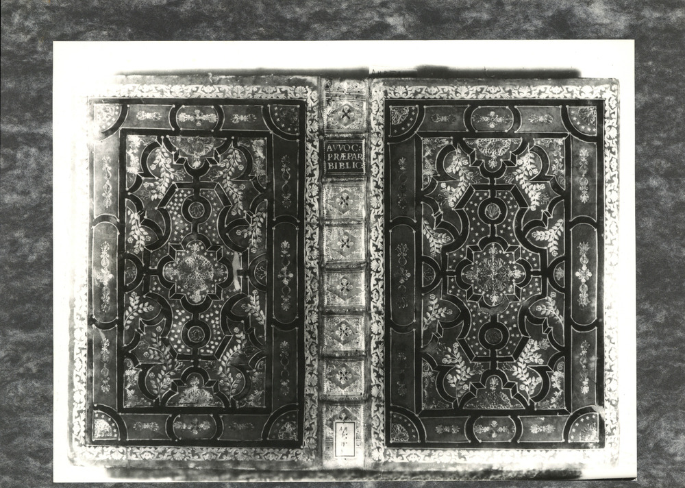 Bologna, Biblioteca Universitaria, A.M.M.IV.8
pos_34246_01
Keywords: BUB A.M.M.IV.8