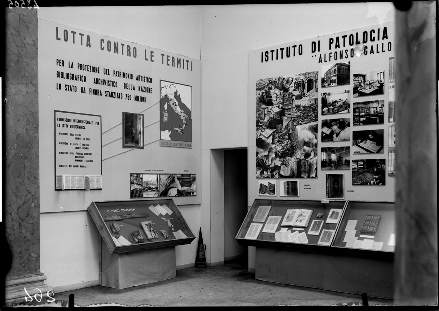 ICPL alla Mostra del Libro di Roma, 1953
ist_0264
Keywords: Mostre