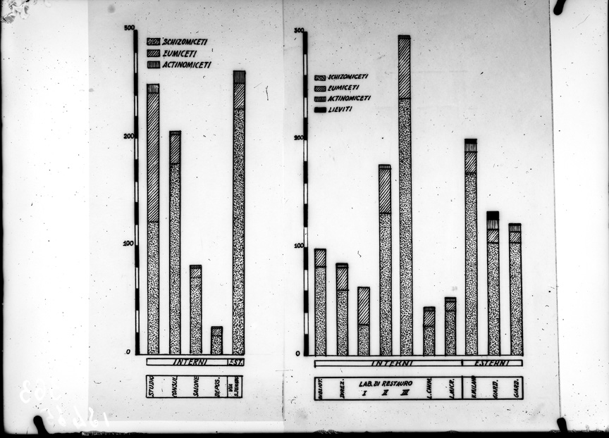 Roma, ICPAL, Laboratorio di microbiologia. Grafici
ist_0363
Keywords: Ricerca e diagnostica