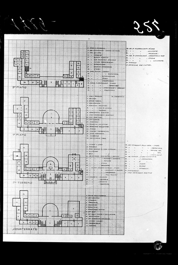 Roma, ICPAL, Planimetria
ist_0524
