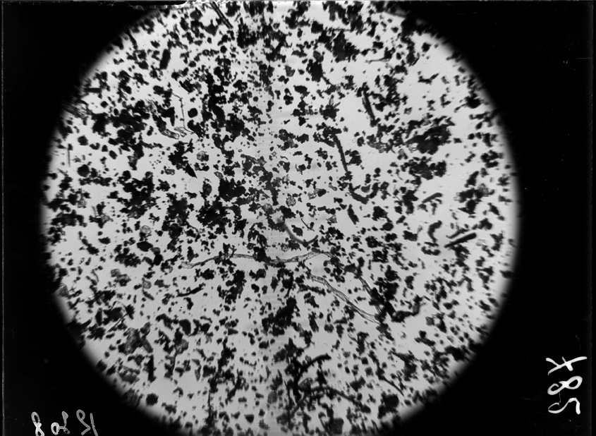 Roma, ICPAL, Laboratorio di microbiologia. Ricerca scientifica
ist_0782
Keywords: Ricerca e diagnostica